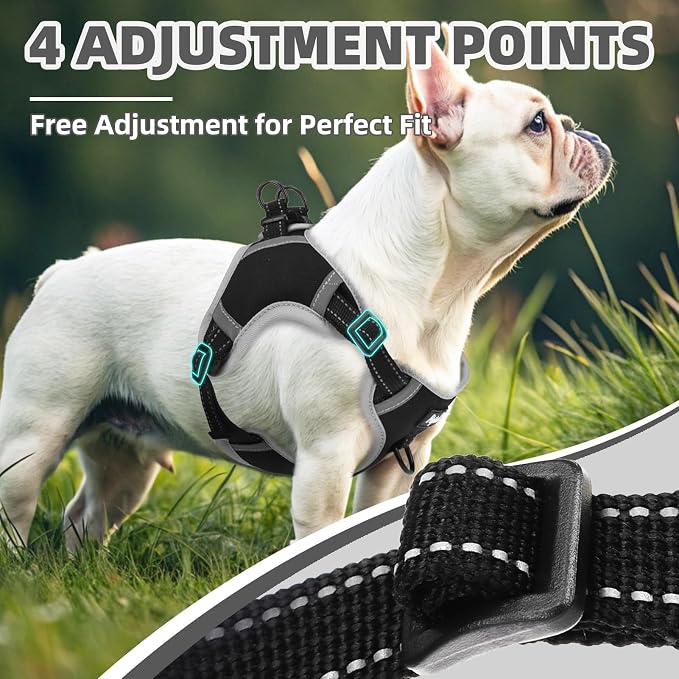 PUPTECK Dog Harness Small Sized Dog, Step in Adjustable Reflective Dog Vest Harness Escape Proof, No Pull Soft Padded Harness Easy Control, Black, XS