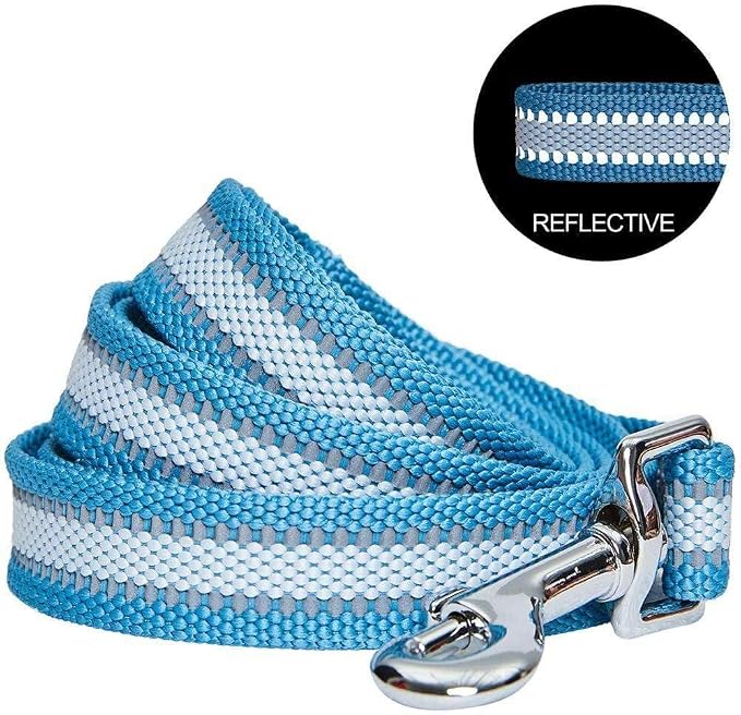 Blueberry Pet Essentials Reflective Better Basics Dog Leash, Sky Blue, 4 ft x 1", Large, Leashes for Dogs