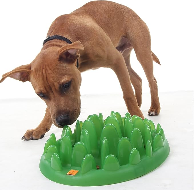 Northmate Green Slow Feeder-Small