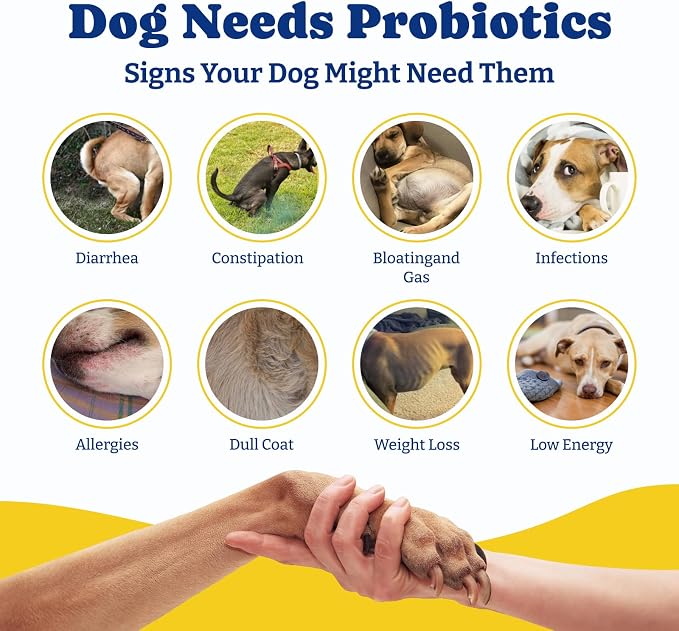 Probiotics for Dogs, Dog Gut, Immune & Skin Health Support Supplement