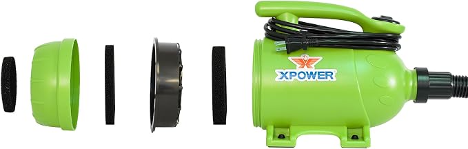XPOWER B-2 2 HP Pro-At-Home 2-in-1 Pet Force Dryer & Vacuum, Green
