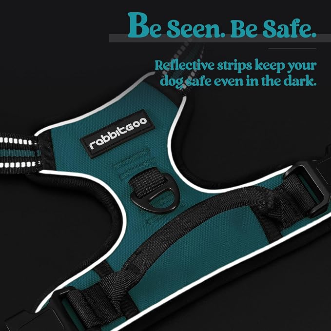 rabbitgoo Dog Harness No Pull with 2 Leash Clips, Adjustable Soft Padded, Reflective Oxford No Choke Pet Vest with Easy Control Handle for Large Dogs, Teal, L | No Choke with Handle, Adjustable Soft Padded, Reflective, Easy Control for Walking, Teal, L...