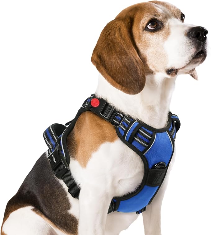 rabbitgoo Dog Harness Medium Sized, Updated Easy On & Off with 3 Buckles | No Pull No Choke, Walking with 2 Clips and Handle, Adjustable Soft Reflective, Blue, Medium