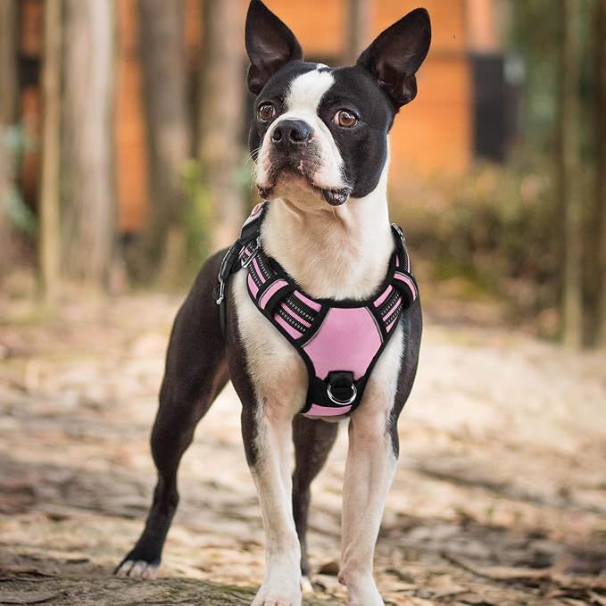 rabbitgoo Dog Harness Small Sized, No Pull 3 Buckles Easy On & Off | Soft Padded, Walking with Control Handle, Adjustable and Reflective, Light Pink, Small