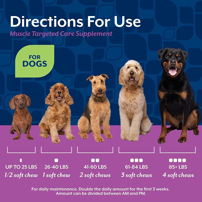 NaturVet Muscle Targeted Care Hip & Joint Supplement for Dogs - 60 Ct