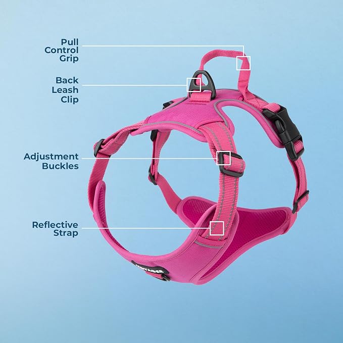 Voyager Dual Attachment No Pull Harness - Fuchsia, Large | 25 - 30" in Chest, No Pull Dog Harness, Fully Adjustable, 3M Reflective Technology, Front & Back D-Rings, Walking & Training