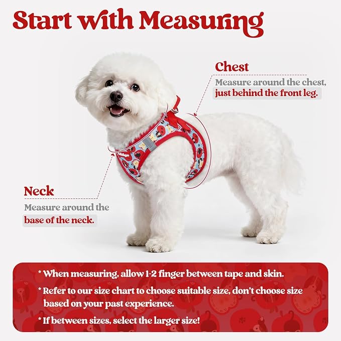 rabbitgoo Dog Harness Small Sized and Leash Set, Step-in Puppy Pet Vest | Light, Soft, Breathable Air Mesh, Easy on and Remove with Hook & Loop, Secure Reflective for Walking, Apple Pups S