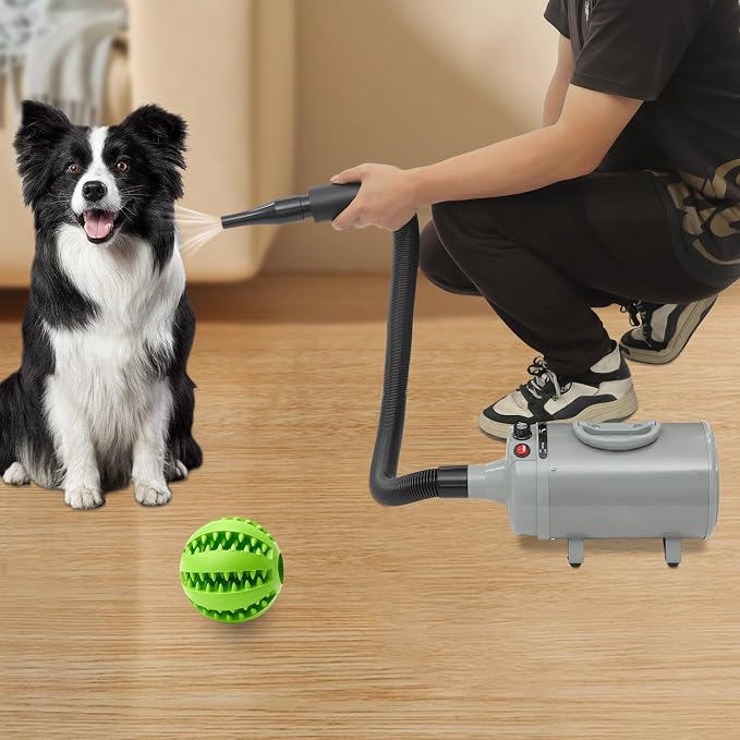Dog Dryer, Dog Dryer for Pet Grooming, 2200W Pet Grooming High Velocity Force Blower with 4 Nozzles, Adjustable Speed and Temperature Control High Velocity Pet Blow Dryer (Gery)