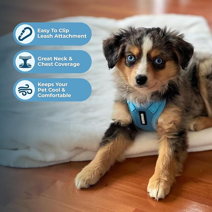 Voyager Step-in Lock Dog Harness - Baby Blue, Medium | 17 - 21" in Chest, Adjustable, Breathable Air Mesh, Lightweight for Daily Walks, Strong Clips, Heavy Duty D-Ring