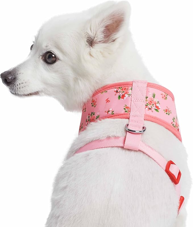Blueberry Pet Soft & Comfy Spring Scent Inspired Floral Rose Baby Pink Dog Harness Vest, Chest Girth 13" - 16", X-Small, Adjustable Harnesses for Dogs