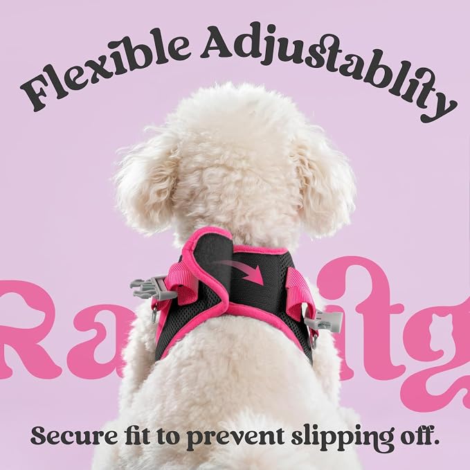rabbitgoo Dog Harness Small Sized and Leash Set, Step in Soft Vest | Breathable Mesh, Easy Wear with Hook & Loop, Light and Reflective for Walking, Multi-colored, Black & Rose Red, M