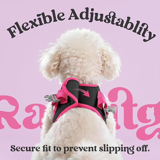 rabbitgoo Dog Harness Small Sized and Leash Set, Step in Soft Vest | Breathable Mesh, Easy Wear with Hook & Loop, Light and Reflective for Walking, Multi-colored, Black & Rose Red, L