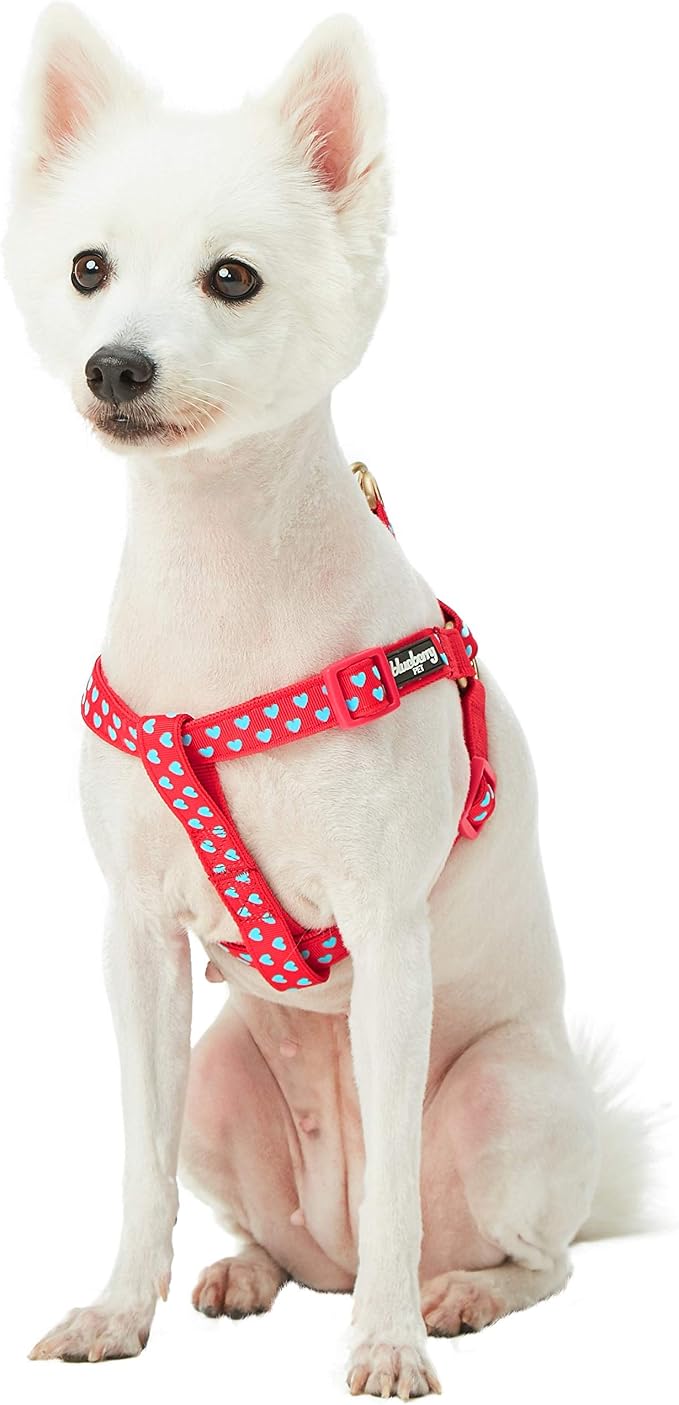 Blueberry Pet Step-in Dog Harness Velvety Heart Flocking Valentine’s Day Adjustable Harnesses for Small Dogs, Lust Red, Chest Girth 16.5" - 21.5"