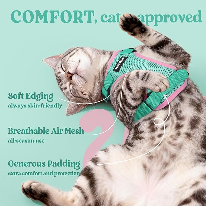 rabbitgoo Cat Harness and Leash Set, Escape Proof Vest, Green & Pink | Soft Breathable Mesh, Easy Adjustable Fit, Snap Buckles, Sturdy Clip, Reflective Strips, for Medium to Large Cats Walks, M