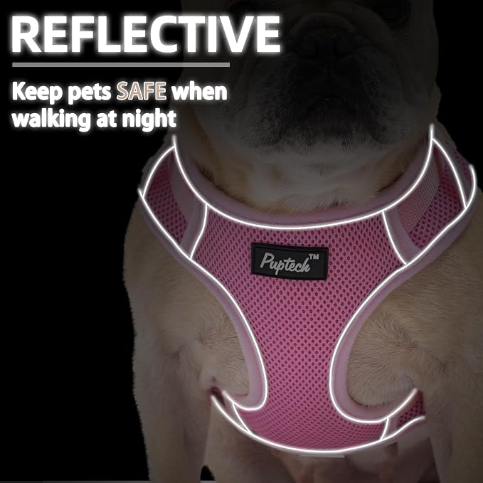 PUPTECK Dog Harness and Leash Set, No Pull Adjustable Pet Small Dog Harness, Reflective Soft Mesh Pet Vest, for Small Medium Dogs Walking, Pink, XS