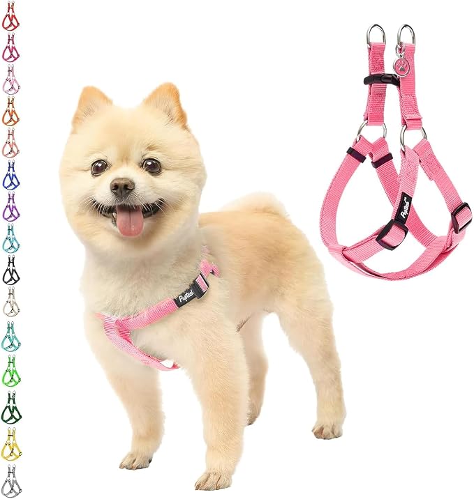 PUPTECK No Pull Dog Harness Small Sized Step-in Adjustable Puppy Vest | Soft Webbing Basic Halter with ID Tag for Outdoor Walking