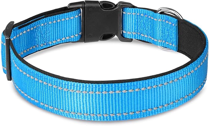 Joytale Dog Collar Bundle with 5FTx3/4 Width Double-Sided Reflective Dog Leash,5FT Nylon Dog Leashes with Nylon Dog Collar for Small Dogs,SkyBlue