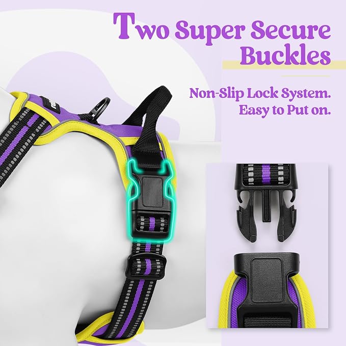 rabbitgoo Dog Harness, No Pull for Large Dogs with 2 Leash Clips, Pet Vest | No Choke with Handle, Adjustable Soft Padded, Reflective, Easy Control for Walking, Purple & Yellow, X-Large