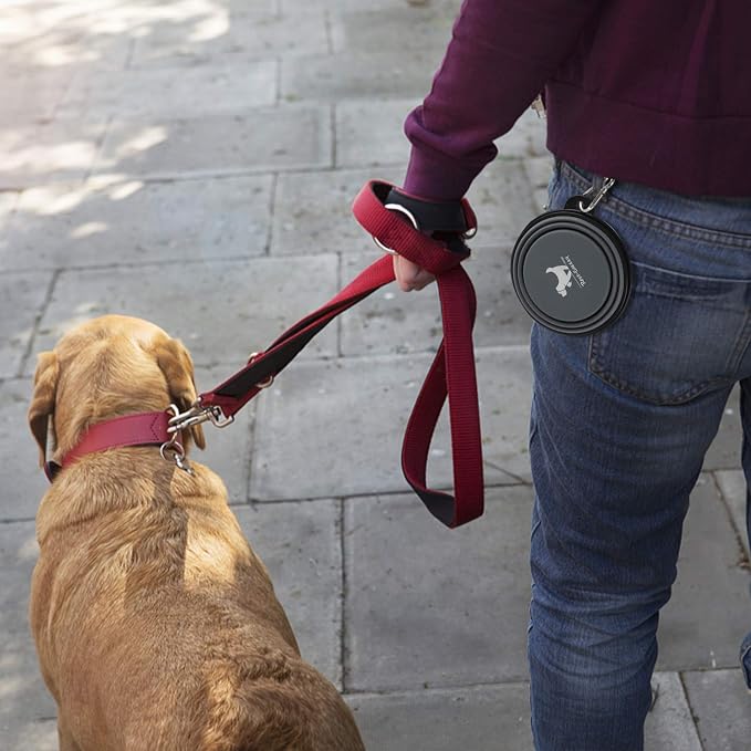 Collapsible Dog Bowls, 2 Pack, with Carabiners, Grey & Pink, Small