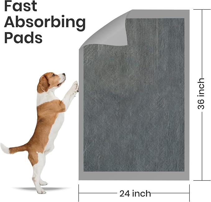 Kashmir FPN Charcoal Pee Pads for Dogs | Wee Wee Pads 200 Count | Puppy Pads | Extra Absorbent | Heavy Duty Dog Pads | 5 Layer Pads for Instant Absorption, 24x36 Inches (Extra Large), 200