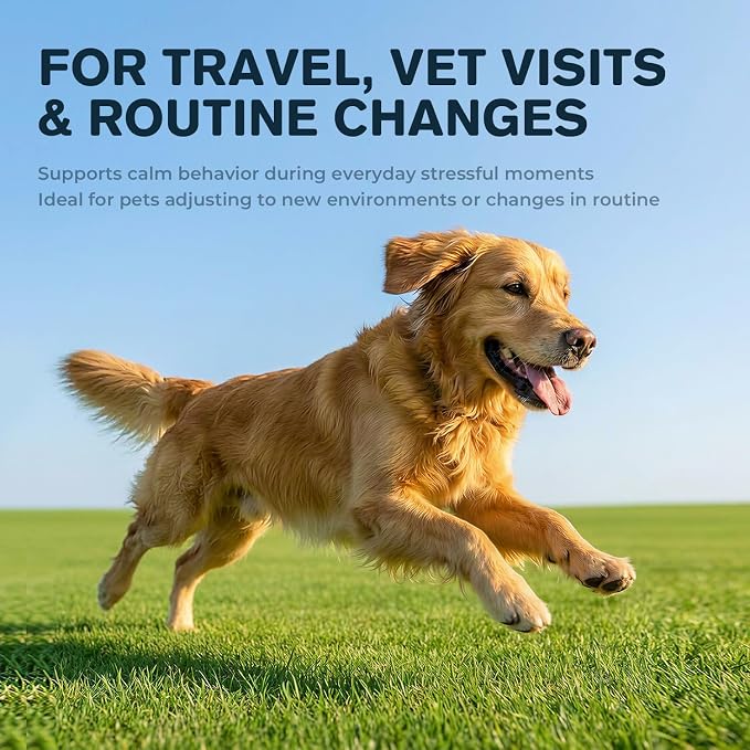 L-Theanine Supplement for Dogs & Cats, Supports Calm Behavior