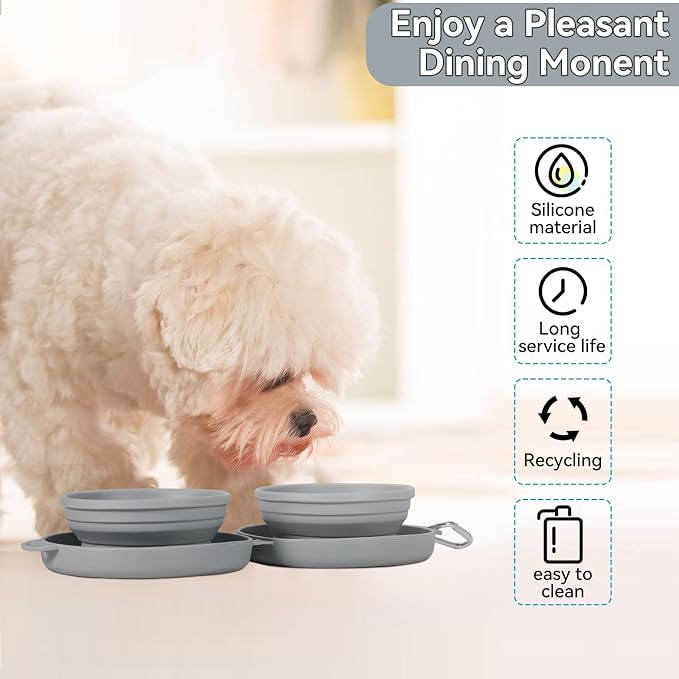Collapsible Dog Water Bowl, 2-in-1 with Carabiner Clip, Grey