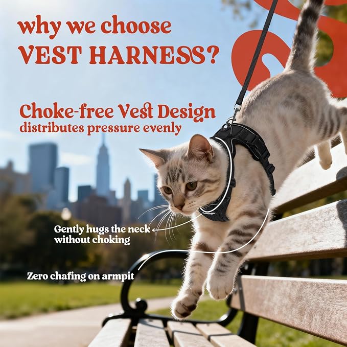 rabbitgoo Cat Harness and Leash Set, Escape Proof Vest, Black | Soft Breathable Mesh, Easy Adjustable Fit, Snap Buckles, Sturdy Clip, Reflective Strips, for Kittens & Small Cats Walks, Xxs