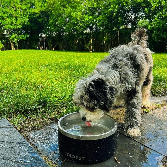 Coldest Dog Bowl - Anti Rust Metal, Non Slip, 3 Layers Insulated Stainless Steel Dog Bowls - Spill Proof & Heavy Duty - Water Bowl for Dogs, Cats & Pets, Dish Washer Safe (100 oz, Carrara Marble)