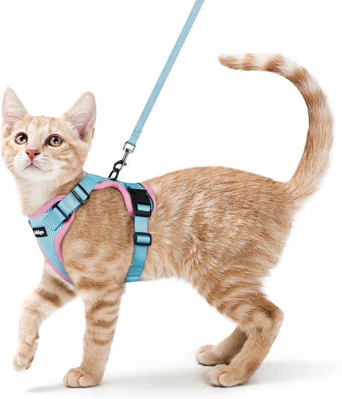 rabbitgoo Cat Harness and Leash Set, Escape Proof Vest, Light Blue & Pink | Soft Breathable Mesh, Easy Adjustable Fit, Snap Buckles, Sturdy Clip, Reflective Strips, for Small & Average Cats Walks, Xs