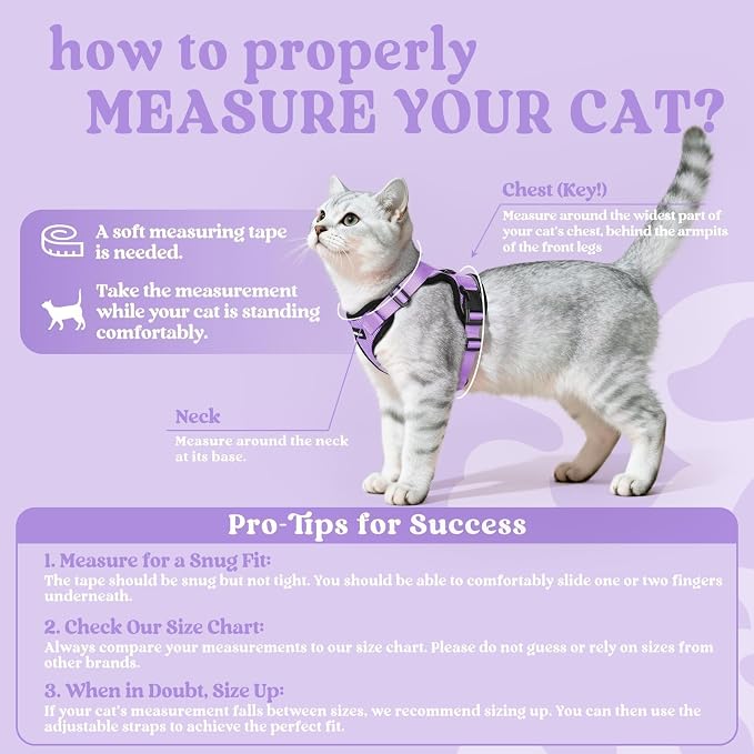 rabbitgoo Cat Harness and Leash Set, Escape Proof Vest, Light Purple | Soft Breathable Mesh, Easy Adjustable Fit, Snap Buckles, Sturdy Clip, Reflective Strips, for Medium to Large Cats Walks, M