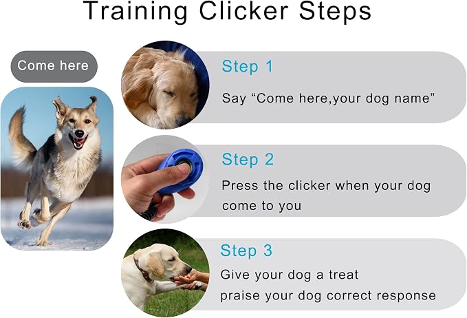 Pet Training Clicker with Wrist Strap, Deep Blue & White & Red & Orange