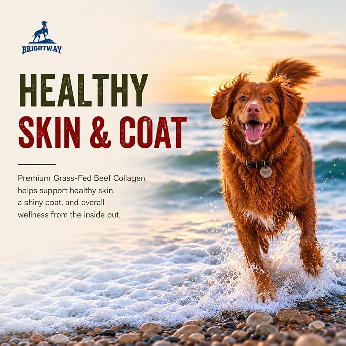 Grass fed Collagen for Dogs - Supports Health Skin & Coat, Hip, Joint Care & Cartilage Support + Skin Health and Mobility, 100% All Natural Collagen