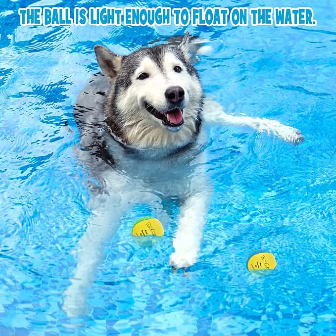 BINGPET Dog Pool Toy Floating Balls, 2-Pack, Yellow