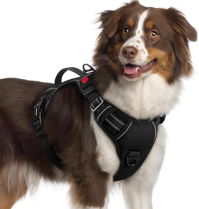 rabbitgoo Large Dog Harness, Easy Wear with 3 Buckles and Lift Handle | No Pull with Front Clip for Walking, Adjustable Soft Padded, Reflective, Easy Control, Black, X-Large