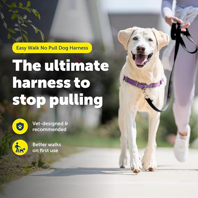 PetSafe Easy Walk Harness for Dogs - Pull-Free Walks - Patented Martingale Loop Design - Front Chest Leash Attachment - Comfort Straps - Breathable Harness Design - Large, Deep Purple/Black