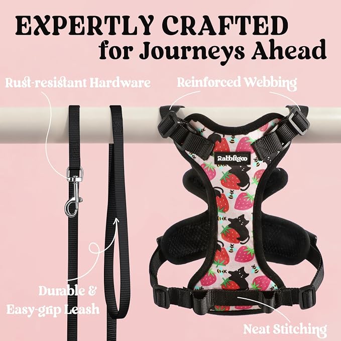 rabbitgoo Cat Harness and Leash Set, Escape Proof Vest, Berry Pounce | Soft Breathable Mesh, Easy Adjustable Fit, Snap Buckles, Sturdy Clip, Reflective Strips, for Average Cats Walks, S