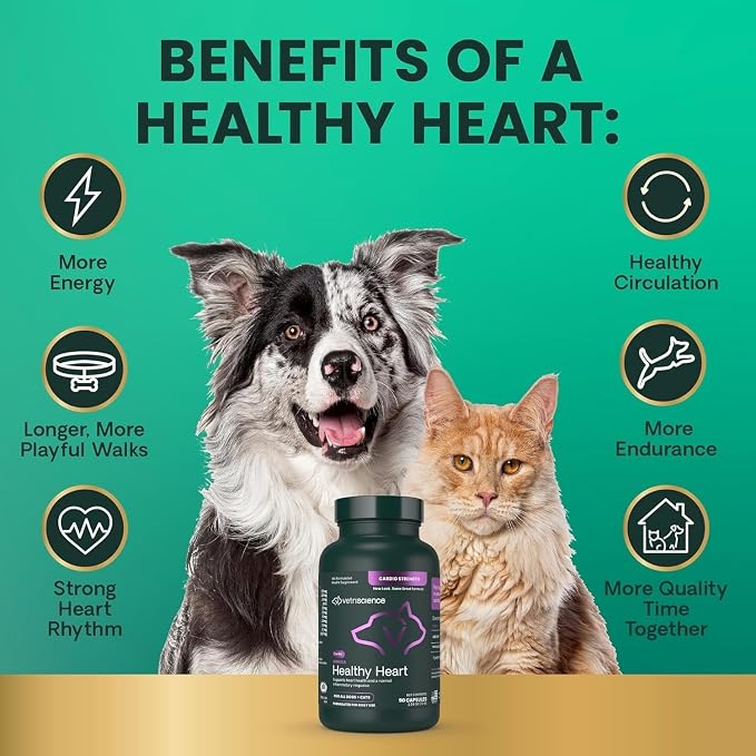 VetriScience Omega Healthy Heart for Dogs and Cats, 90 Count