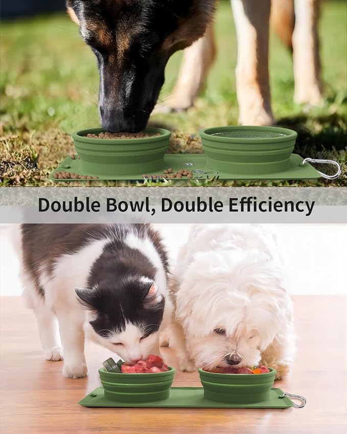 Collapsible Portable 2-in-1 Dog Bowl with Carabiner, Green
