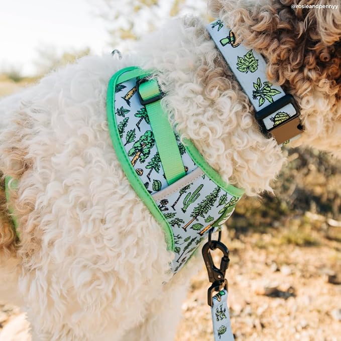 Lucy & Co. x Parks Project Feel the Earth Breath No-Pull Dog Harness, Adjustable Front Clip Harness with Comfort Padding, Medium