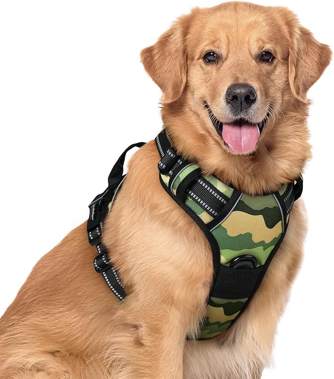 rabbitgoo Dog Harness, No Pull for Large Dogs with 2 Leash Clips, Pet Vest | No Choke with Handle, Adjustable Soft Padded, Reflective, Easy Control for Walking, Green Mountain, X-Large