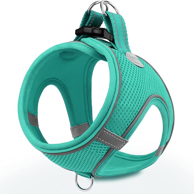 Joytale Step-in Dog Harness, Soft Breathable Mesh, Teal XXS | Adjustable Fit for Small Dogs, Easy Step-in with Secure Fastener, Even Chest Pressure, Reflective For Night Safety, Washable