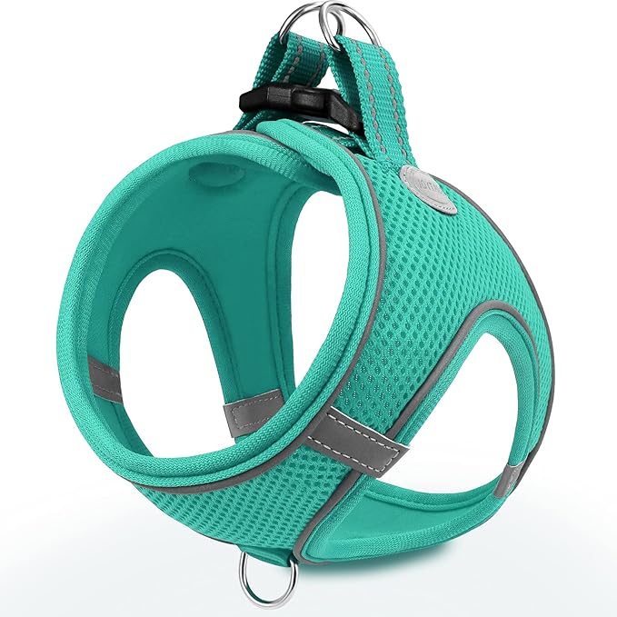 Joytale Step-in Dog Harness, Soft Breathable Mesh, Teal XL | Adjustable Fit for Small Dogs, Easy Step-in with Secure Fastener, Even Chest Pressure, Reflective For Night Safety, Washable