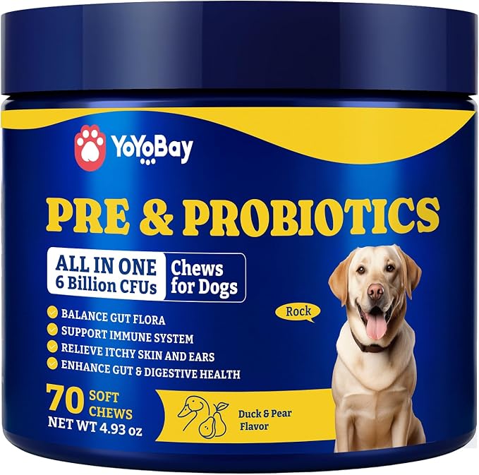 Probiotics for Dogs, Dog Gut, Immune & Skin Health Support Supplement
