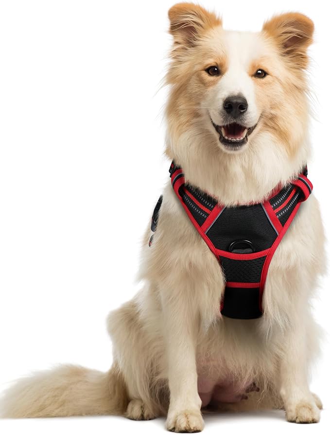 rabbitgoo Dog Harness, No Pull Medium Sized with 2 Leash Clips, Pet Vest | No Choke with Handle, Adjustable Soft Padded, Reflective, Easy Control for Walking, Black & Red, Medium