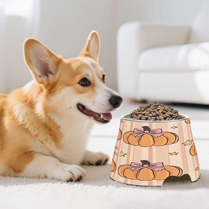 Blueangle Elevated Dog Bowls with Stainless Steel - Non-Slip 2.3 Cup High Capacity Pet Dish for Spinal Health & Pumpkins with Bows Design（154）
