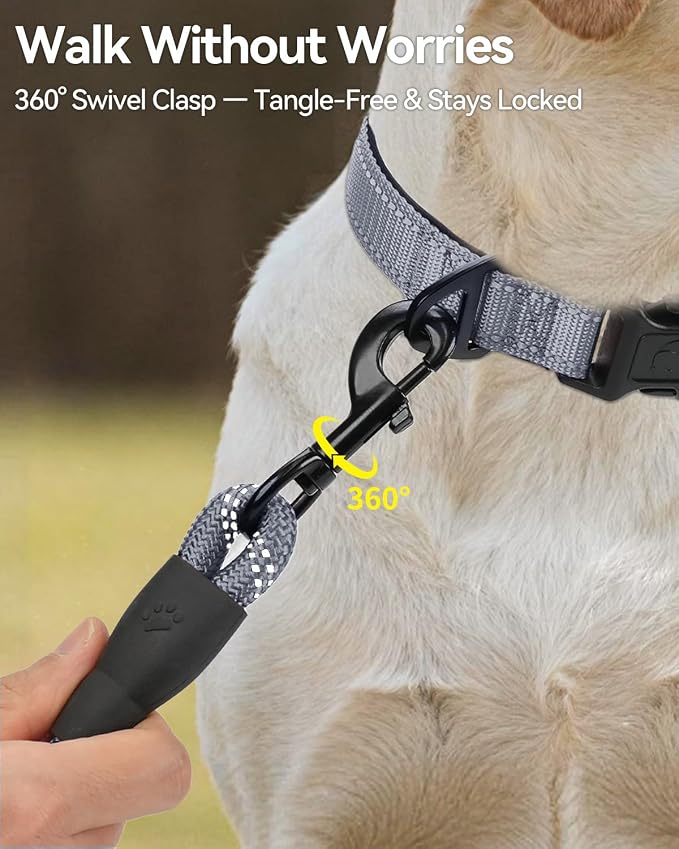 Joytale Rope Dog Leash for Small Dogs, Padded Handle, 5FT, Gray | Reinforced Nylon Webbing, Comfort Grip Eases Hand Strain, Swivel Clip Prevents Tangles, Visible at Night, for Outdoor Walks