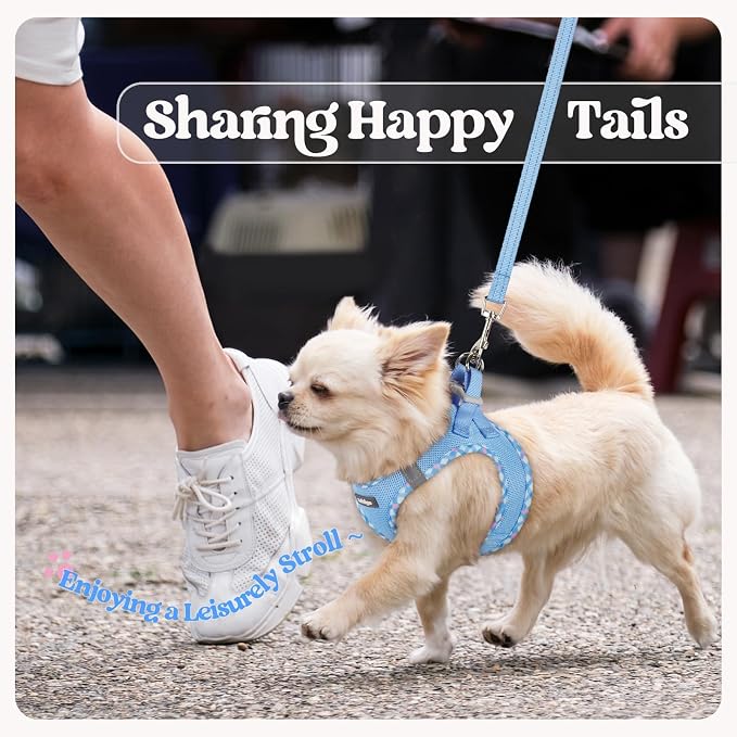 rabbitgoo Dog Harness Small Sized and Leash Set, Step-in Puppy Pet Vest | Light, Soft, Breathable Air Mesh, Easy on and Remove with Hook & Loop, Secure Reflective for Walking, Blue & Plaid Trim S