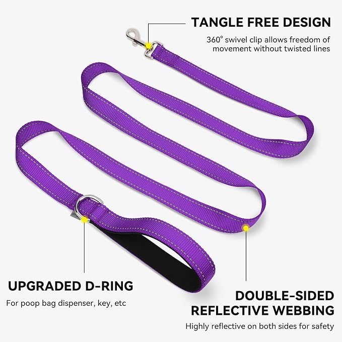 Joytale Reflective Dog Leash for Small Dogs, 5 FT x 3/4", Purple | Heavy Duty Nylon Webbing, Padded Handle for Comfort, Visible at Night, for Walking & Training