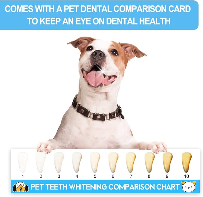 Small Dog & Puppy Toothbrush Kit, Soft Bristles, White | Gentle Care for Tiny Teeth. Beginner-Friendly Brushing. Soft Gum Comfort. Daily Routine Made Simple.