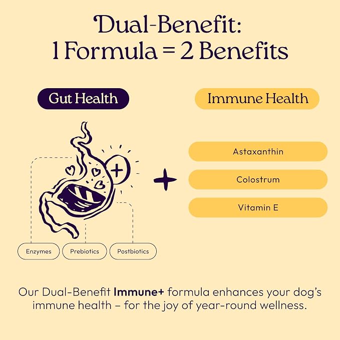 WellJoy Immune Dog Supplement + Vitamin E, Astaxanthin, GutBoost, 90ct